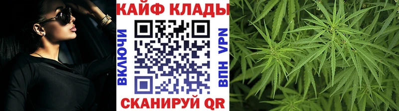 APVP Оренбург